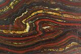Polished Tiger Iron Stromatolite - ( Billion Years) #92973-1
